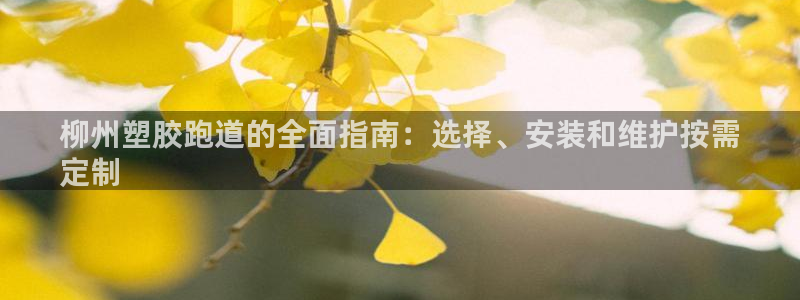 谈球吧app下载安装：柳州塑胶跑道的全面指南：选择、安装和维护按需
定制