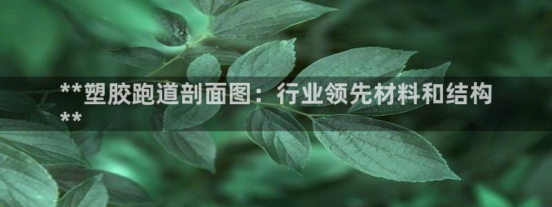 谈球吧官网app：**塑胶跑道剖面图：行业领先材料和结构
**