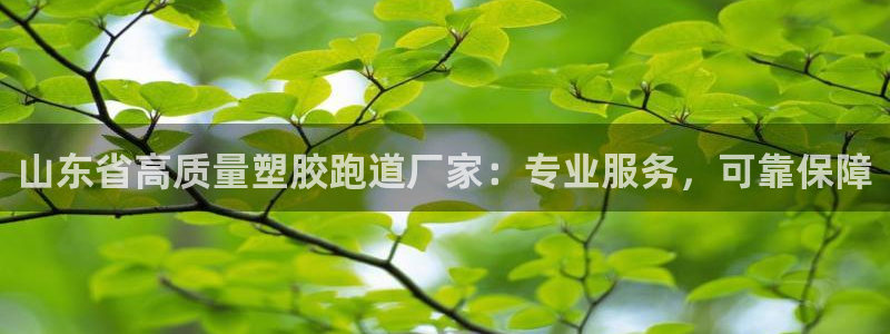 谈球吧红包码：山东省高质量塑胶跑道厂家：专业服务，可靠保障