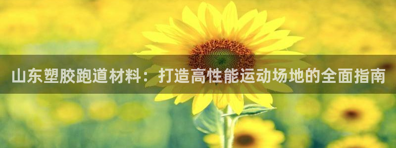 谈球吧属于哪个：山东塑胶跑道材料：打造高性能运动场地的全面指南
