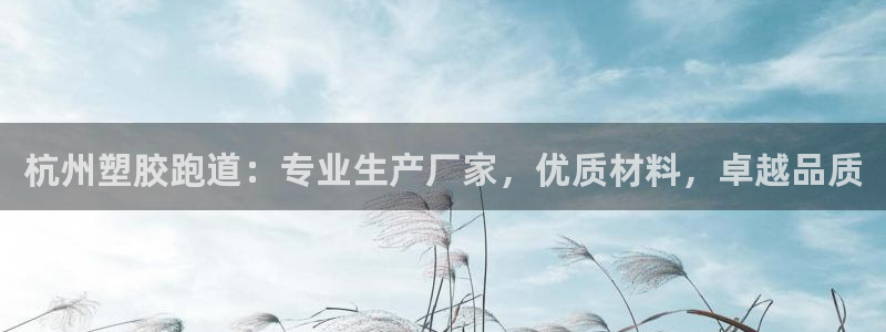 谈球吧是黑台子吗：杭州塑胶跑道：专业生产厂家，优质材