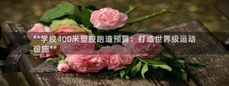 谈球吧官网在线入口免费观看视频网站：**学校400米塑胶跑道预算：打造世界级运动
设施**