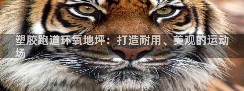 谈球吧是黑台子吗还是白台子：塑胶跑道环氧地坪：打造耐用、美观的运动
场