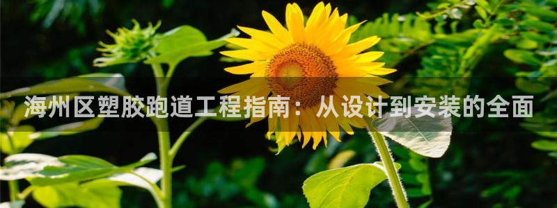 谈球吧官网app：海州区塑胶跑道工程指南：从设计到安装的全面
