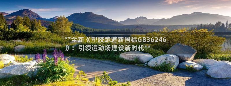 谈球吧官网在线入口：**全新《塑胶跑道新国标GB36