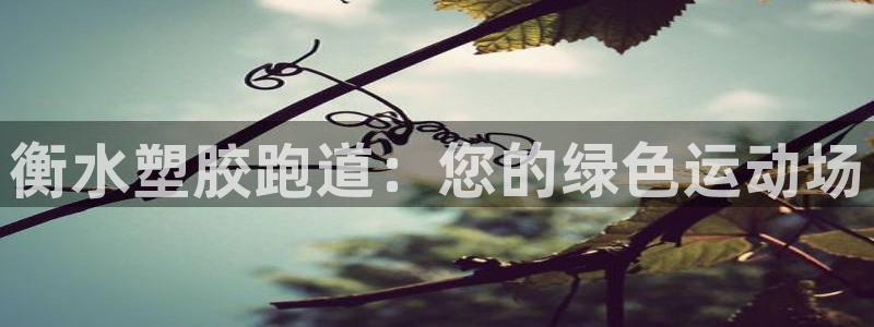 谈球吧全站app下载：衡水塑胶跑道：您的绿色运动场