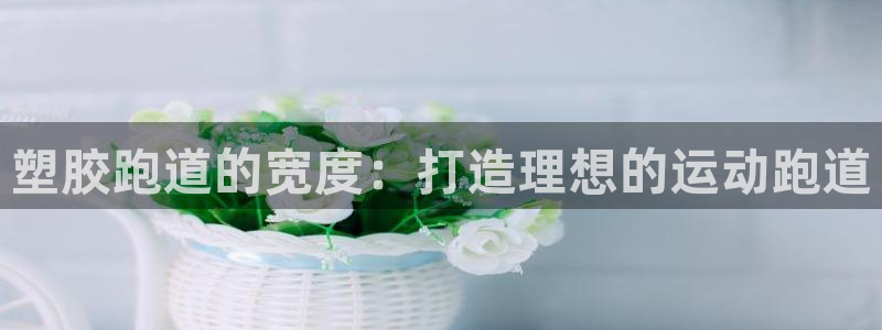 谈球吧是正规平台吗安全吗：塑胶跑道的宽度：打造理想的运动跑道