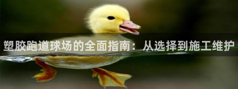 谈球吧-体育赛事：塑胶跑道球场的全面指南：从选择到施工维护