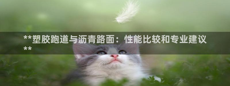 谈球吧网app官网下载：**塑胶跑道与沥青路面：性能比较和专业建议
**