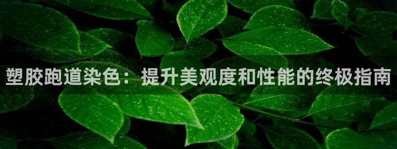 谈球吧在线登录：塑胶跑道染色：提升美观度和性能的终极