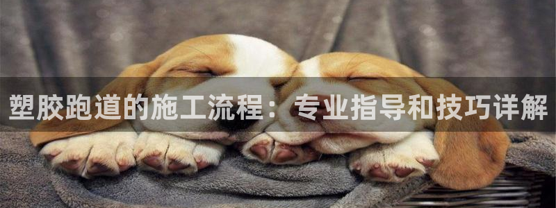 谈球吧的聊天软件下载：塑胶跑道的施工流程：专业指导和技巧详解