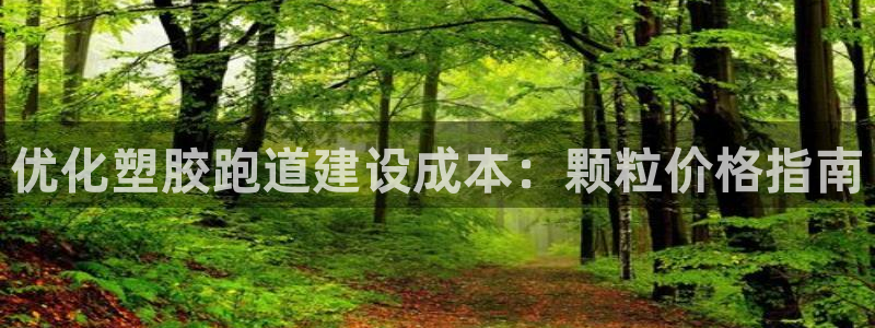 谈球吧可靠吗：优化塑胶跑道建设成本：颗粒价格指南