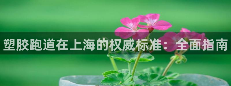 谈球吧体育在线：塑胶跑道在上海的权威标准：全面指南