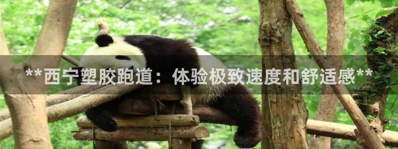 谈球吧APP开元