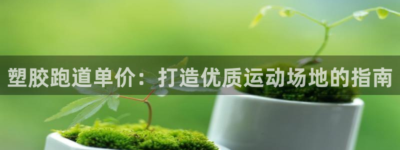 谈球吧电子app：塑胶跑道单价：打造优质运动场地的指南
