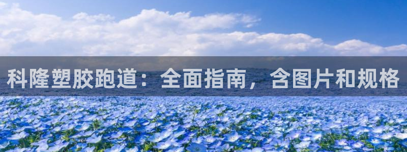 谈球吧是黑台子吗是真的吗：科隆塑胶跑道：全面指南，含图片和规格