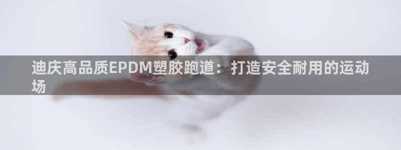 谈球吧娱乐app下载官网苹果：迪庆高品质EPDM塑胶跑道：打造安全耐用的运动
场