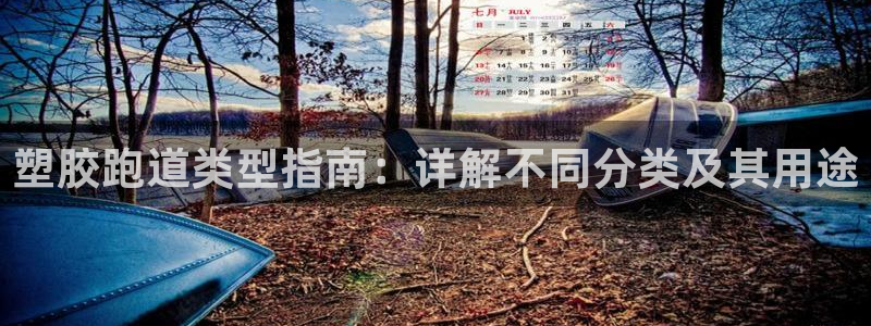 谈球吧靠谱吗：塑胶跑道类型指南：详解不同分类及其用途