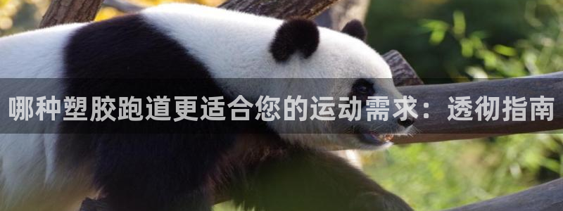 谈球吧是黑台子吗是真的吗：哪种塑胶跑道更适合您的运动需求：透彻指南