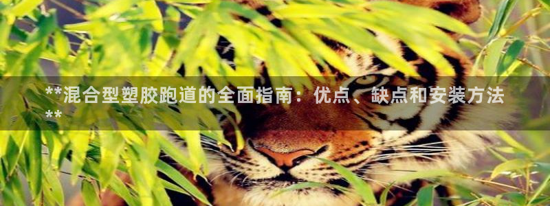 谈球吧官网下载：**混合型塑胶跑道的全面指南：优点、