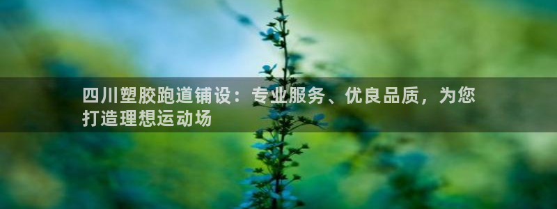 谈球吧是黑台子吗还是白台子好：四川塑胶跑道铺设：专业服务、优良品质，为您
打造理想运动场