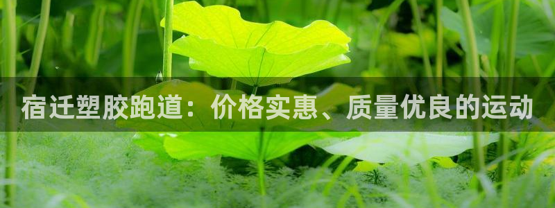 谈球吧怎么样?：宿迁塑胶跑道：价格实惠、质量优良的运动
