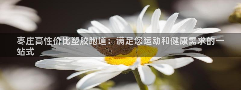 谈球吧的聊天软件有哪些：枣庄高性价比塑胶跑道：满足您
