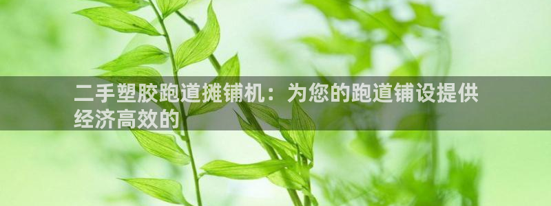 谈球吧平台app下载网址是什么：二手塑胶跑道摊铺机：为您的跑道铺设提供
经济高效的