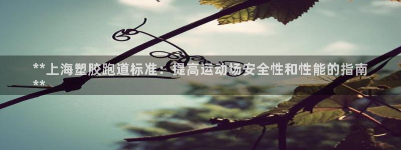 谈球吧网页登录：**上海塑胶跑道标准：提高运动场安全性和性能的指南
**