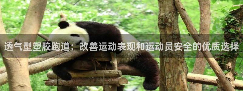 谈球吧官网在线入口手机版：透气型塑胶跑道：改善运动表现和运动员安全的优质选择