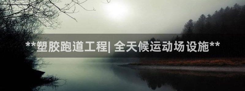 谈球吧的聊天软件：**塑胶跑道工程| 全天候运动场设施**