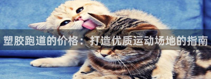谈球吧是黑台子吗：塑胶跑道的价格：打造优质运动场地的指南