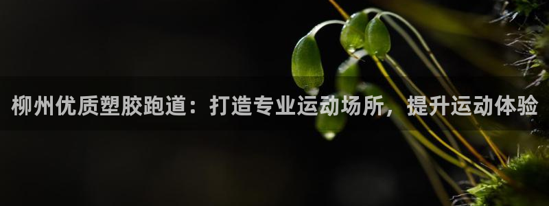 谈球吧算违法行为吗为什么：柳州优质塑胶跑道：打造专业运动场所，提升运动体验