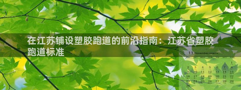 谈球吧体育app登陆入口：在江苏铺设塑胶跑道的前沿指南：江苏省塑胶
跑道标准