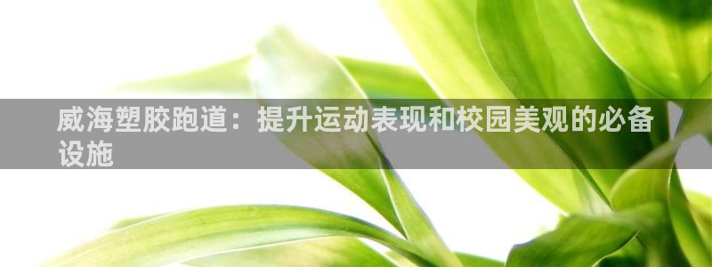 谈球吧体育app下载：威海塑胶跑道：提升运动表现和校园美观的必备
设施