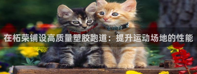 谈球吧下载：在柘荣铺设高质量塑胶跑道：提升运动场地的性能