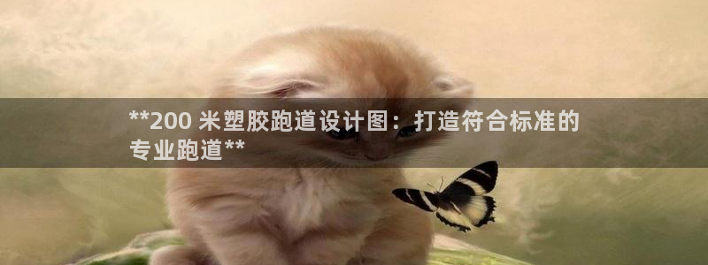 谈球吧体育app下载中心：**200 米塑胶跑道设计图：打造符合标准的
专业跑道**
