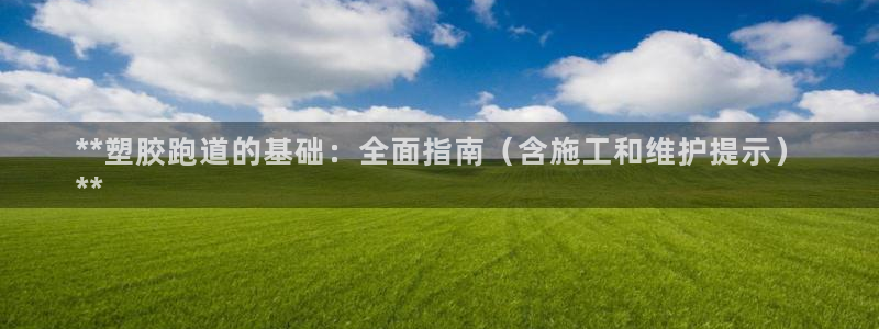 谈球吧言网入口：**塑胶跑道的基础：全面指南（含施工和维护提示）
**