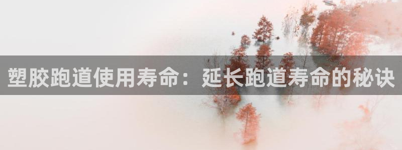 谈球吧黑款不：塑胶跑道使用寿命：延长跑道寿命的秘诀