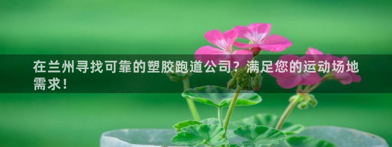 谈球吧娱乐app下载官网苹果手机：在兰州寻找可靠的塑