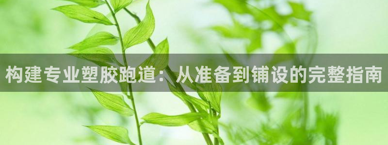 谈球吧算违法行为吗知乎：构建专业塑胶跑道：从准备到铺设的完整指南
