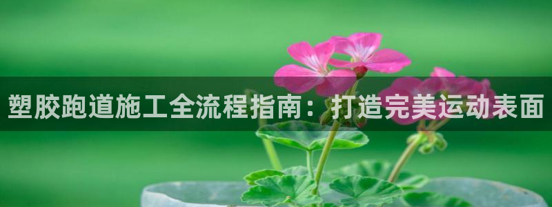 谈球吧入口：塑胶跑道施工全流程指南：打造完美运动表面