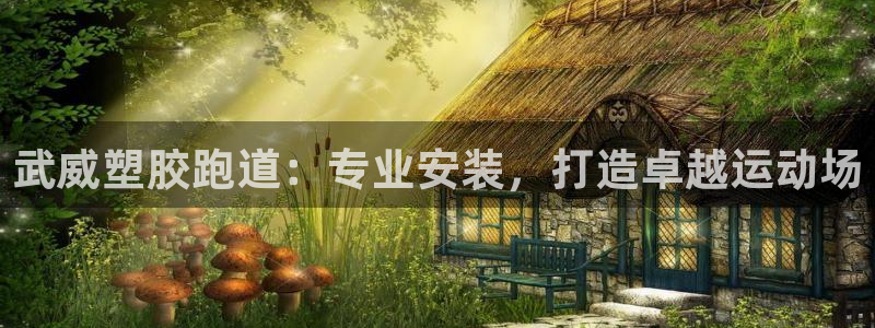 谈球吧平台正规吗：武威塑胶跑道：专业安装，打造卓越运