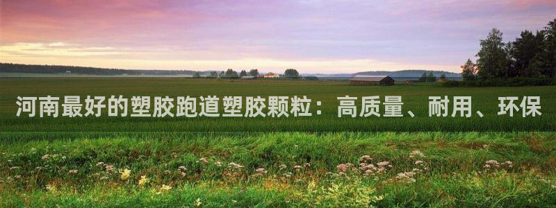谈球吧体育app下载中心官网手机版：河南最好的塑胶跑