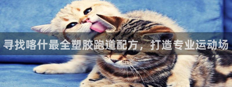 谈球吧官网在线入口手机版免费下载：寻找喀什最全塑胶跑