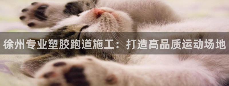 谈球吧网app官网下载：徐州专业塑胶跑道施工：打造高品质运动场地