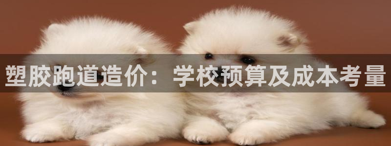 谈球吧体育app下载中心官网苹果：塑胶跑道造价：学校