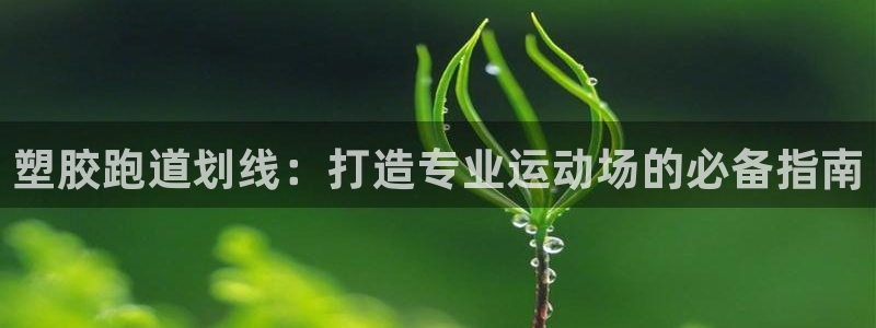 谈球吧咋样黑钱：塑胶跑道划线：打造专业运动场的必备指