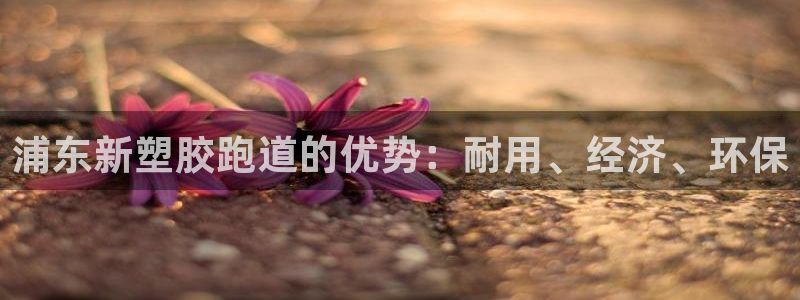 谈球吧体育app下载中心：浦东新塑胶跑道的优势：耐用、经济、环保