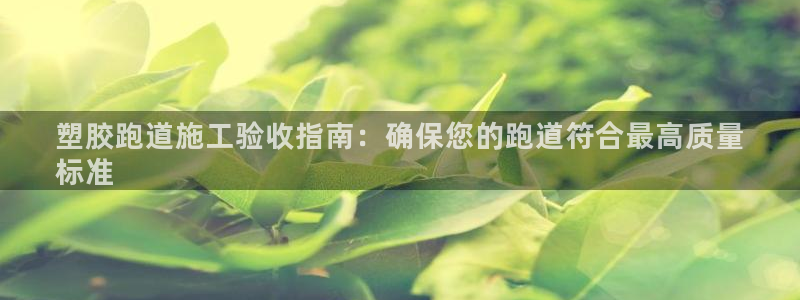 谈球吧网app官网下载：塑胶跑道施工验收指南：确保您